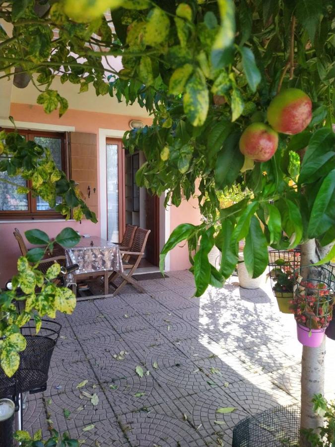 Locazioni Turistiche By Max Ξενοδοχείο Montegrotto Terme Εξωτερικό φωτογραφία